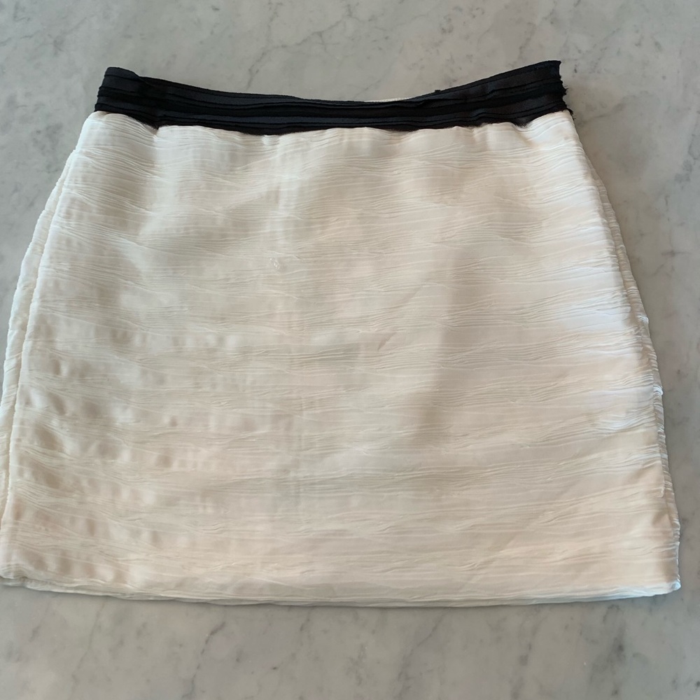 Beautiful Chiffon Overlay Skirt NWT